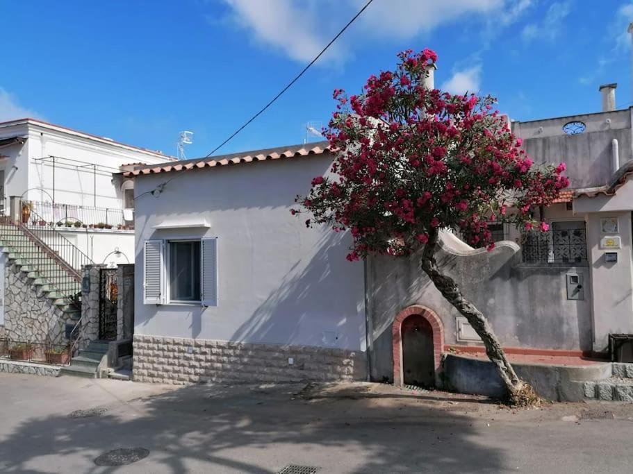 Sweet Home, Anacapri Экстерьер фото